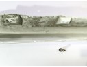 FALDON LATERAL 
