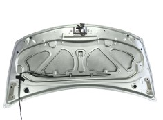 Recambio de capot para renault clio iii exception referencia OEM IAM   
